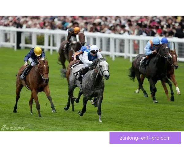 世界杯竞猜盛宴开启，精准预测赢大奖，掌握赛场动向一秒制胜